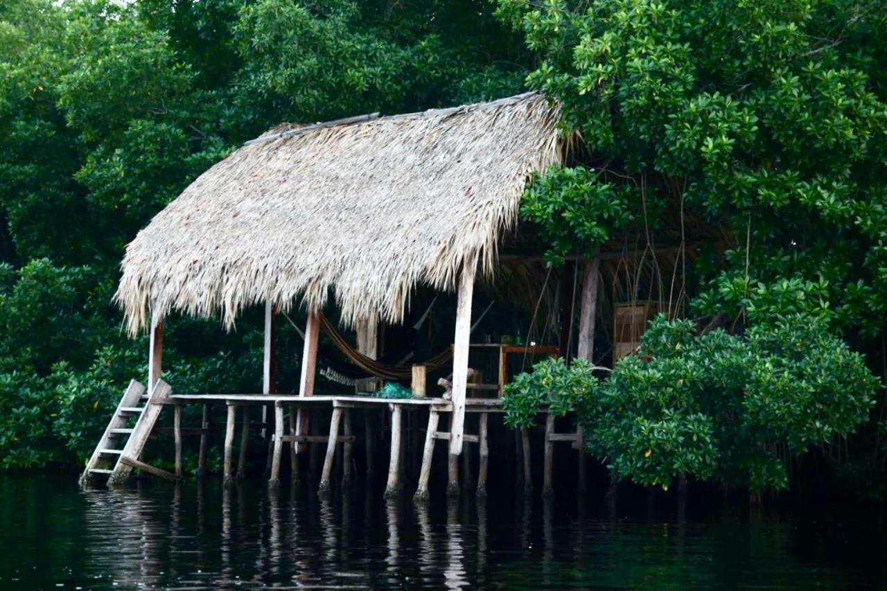 Proyecto Clandestino Hotel Boca del Cielo Eksteriør billede